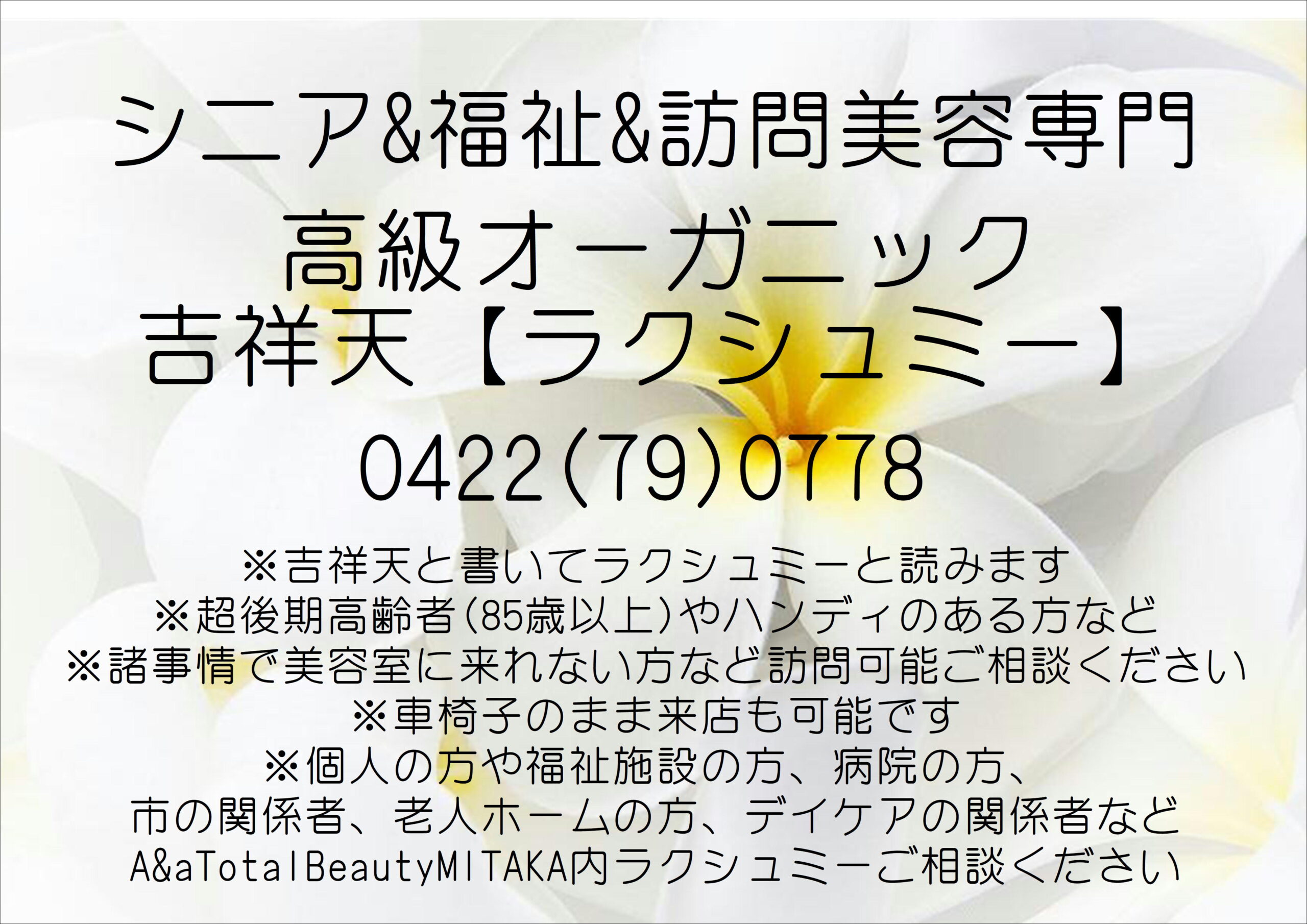 ラクシュミー(吉祥天)MITAKAbyA＆a