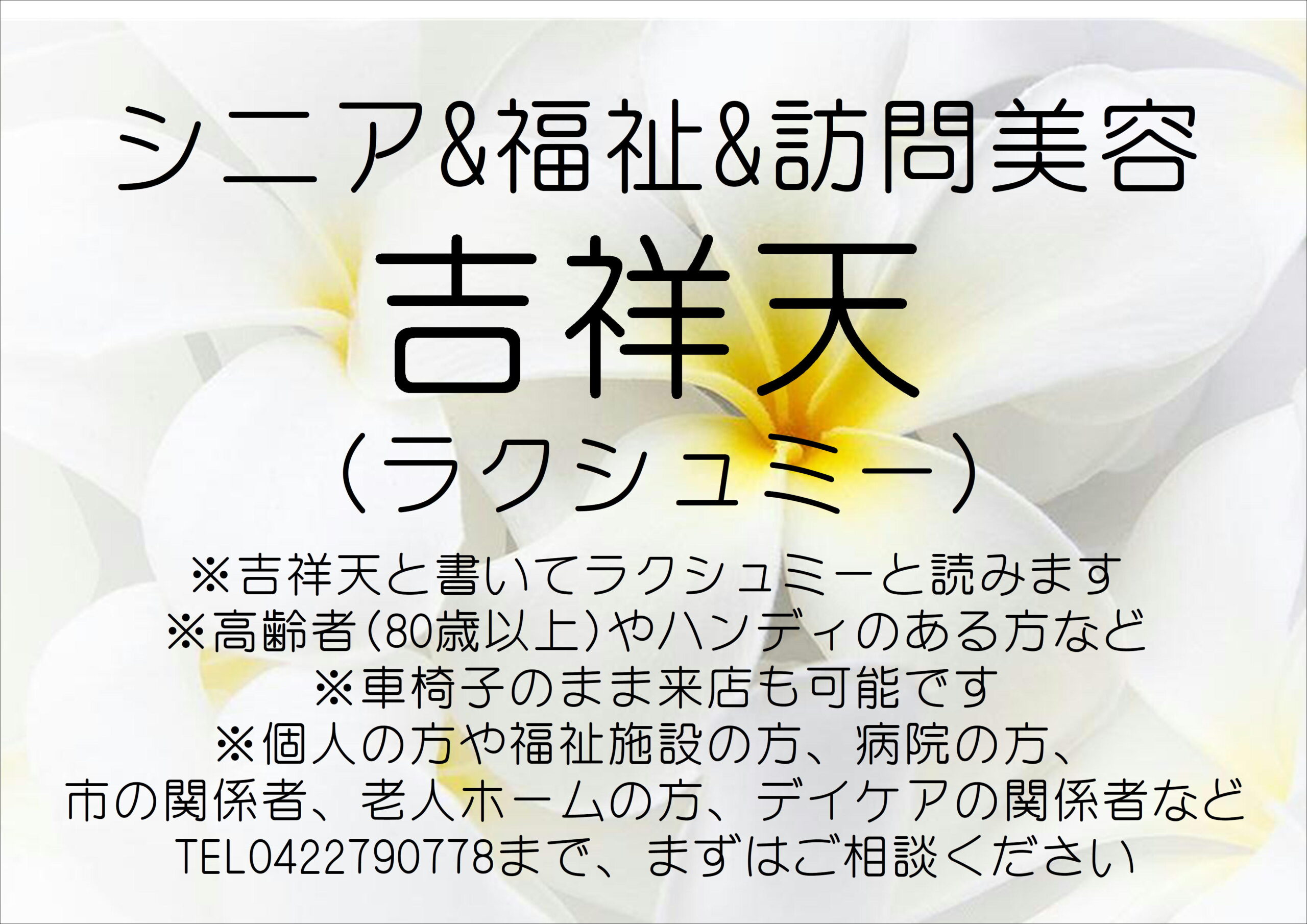 ラクシュミー(吉祥天)MITAKAbyA＆a